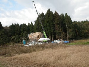 11月19日建て方10